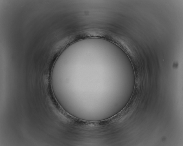 X0000094900402200711291028