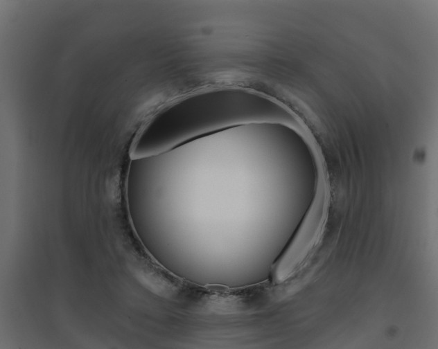 X0000094900403200711291028