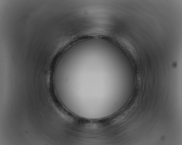 X0000094900404200711291028