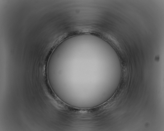 X0000094900406200711291028