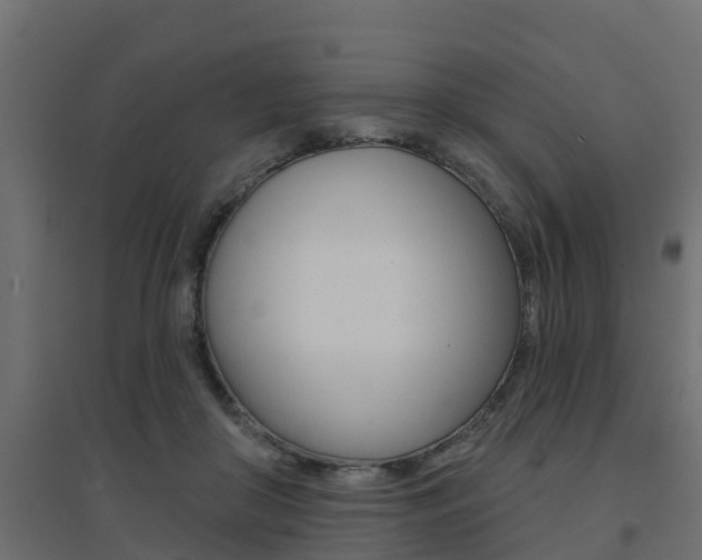 X0000094900410200711291027