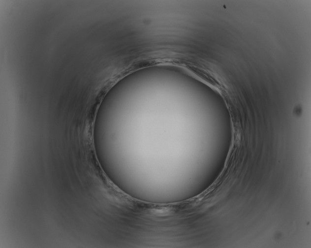 X0000094900411200711291027