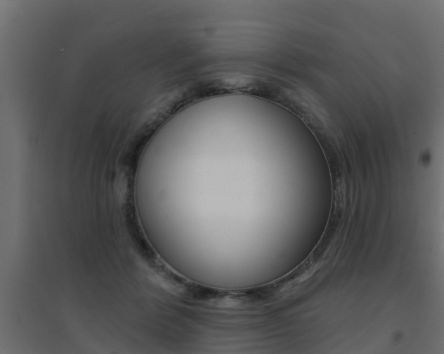 X0000094900412200711291027