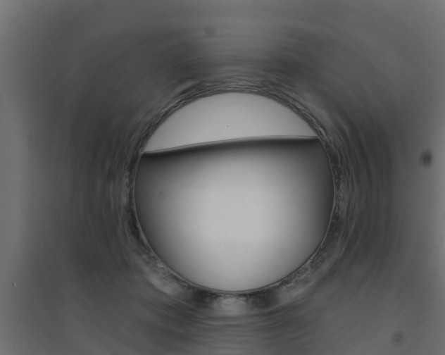 X0000094900413200711291027