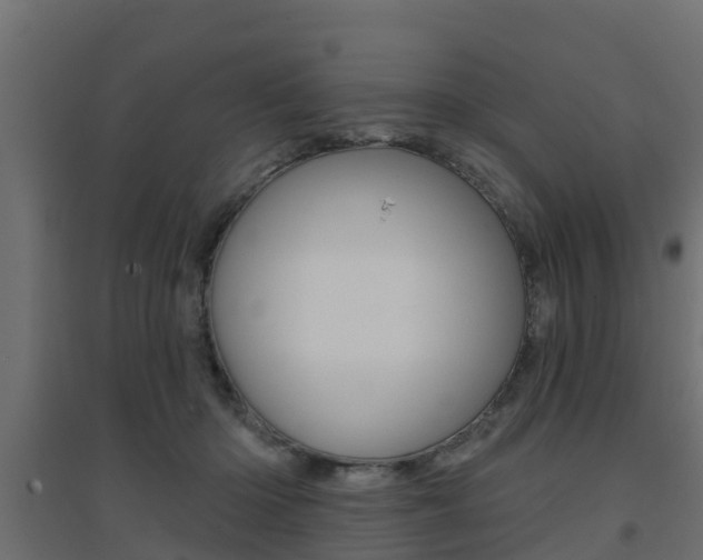 X0000094900414200711291027