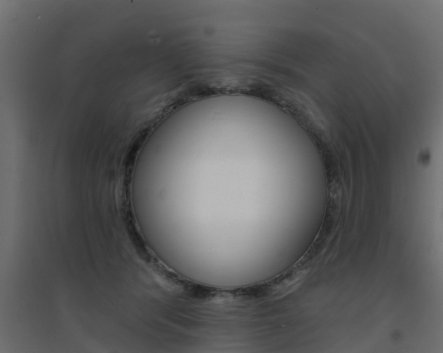X0000094900416200711291027