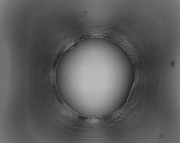 X0000094900419200711291027