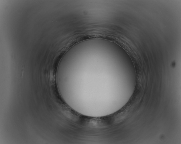 X0000094900420200711291027