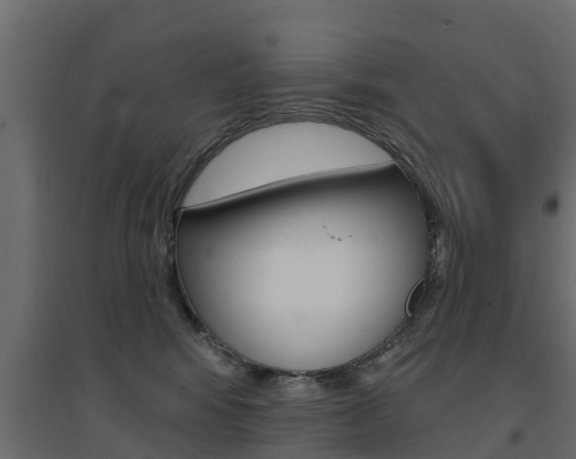 X0000094900424200711291027