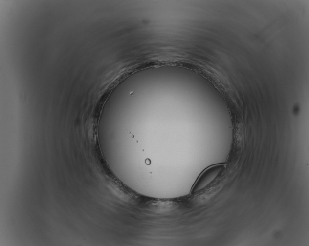 X0000094900428200711291027