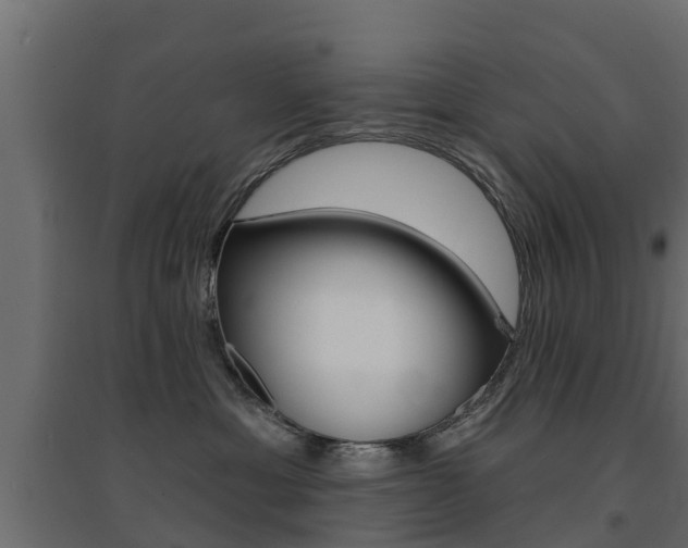 X0000094900429200711291027