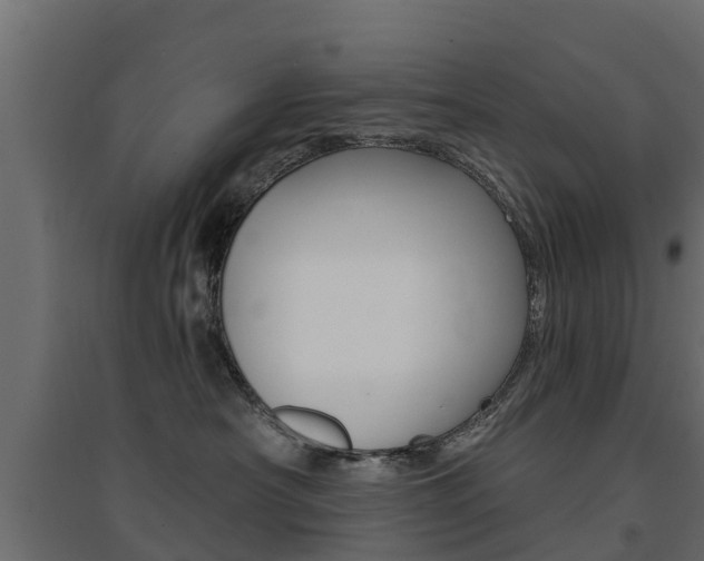 X0000094900430200711291027