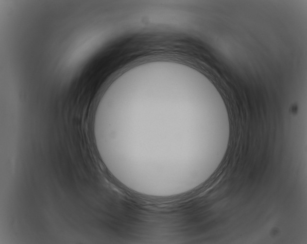 X0000094900431200711291027