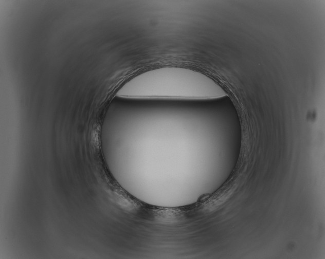 X0000094900432200711291027