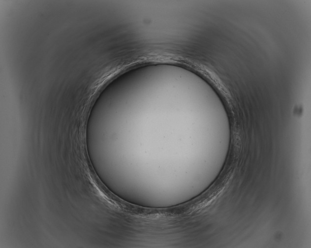 X0000094900433200711291026