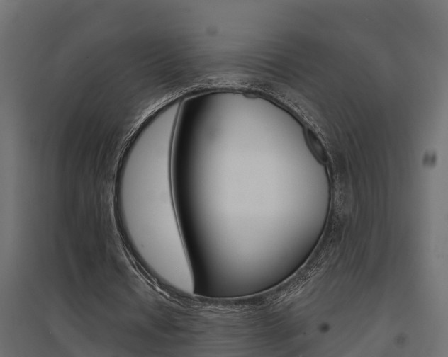 X0000094900434200711291026