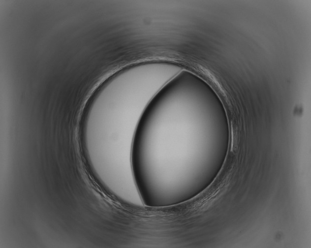 X0000094900435200711291026
