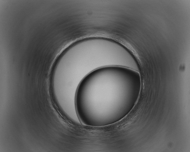 X0000094900436200711291026