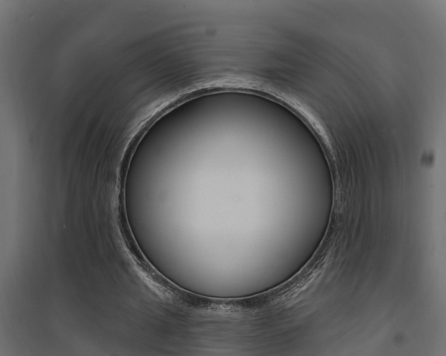 X0000094900437200711291026