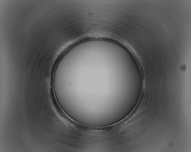 X0000094900438200711291026