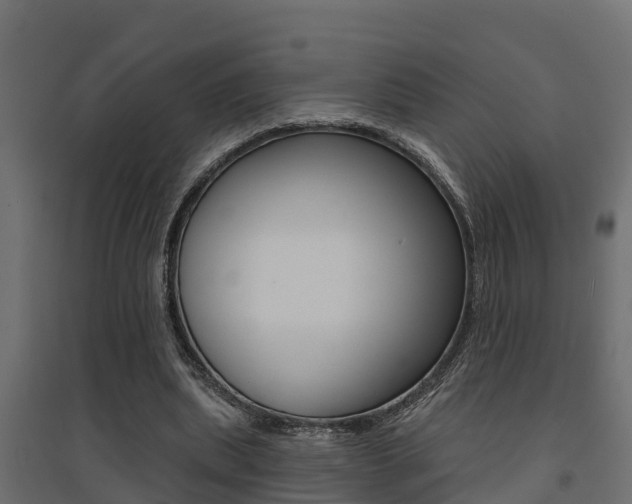 X0000094900439200711291026