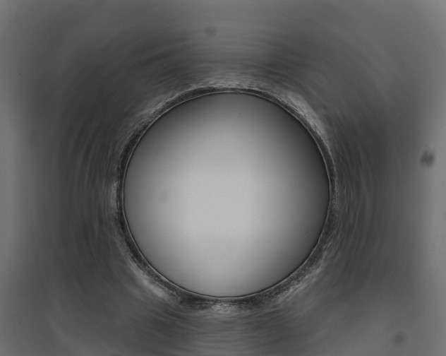 X0000094900441200711291026