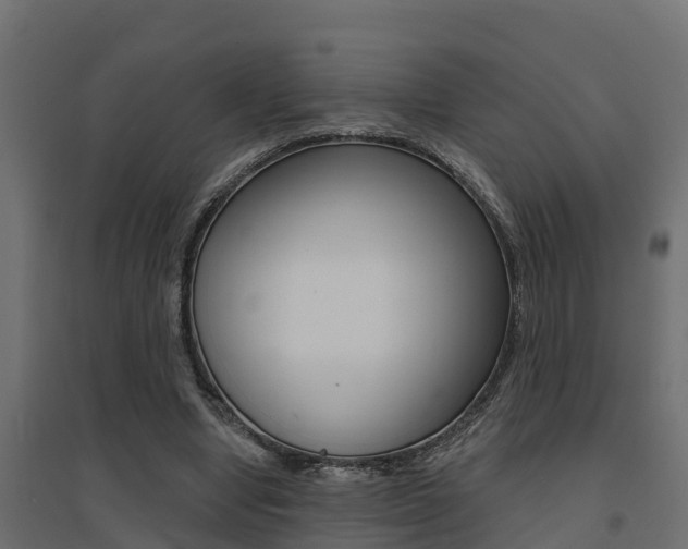 X0000094900442200711291026