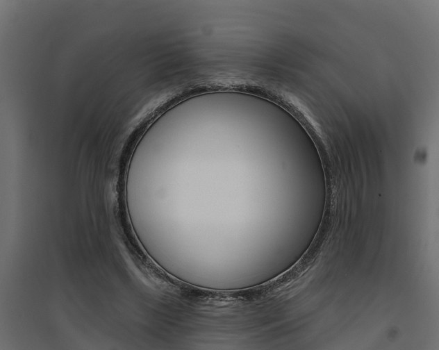 X0000094900443200711291026