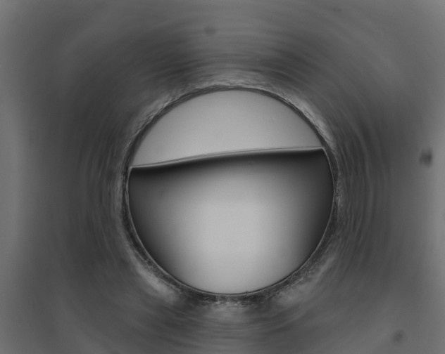 X0000094900445200711291026