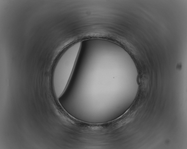 X0000094900446200711291026