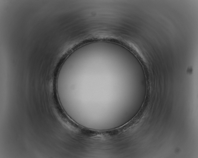 X0000094900447200711291027