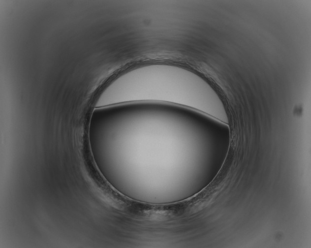 X0000094900448200711291027