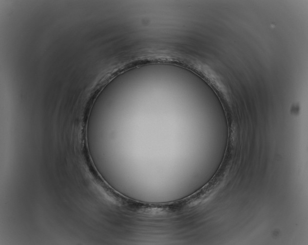 X0000094900449200711291027