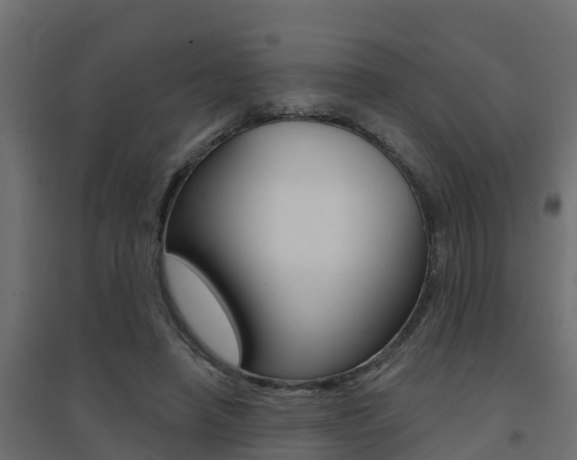 X0000094900450200711291027