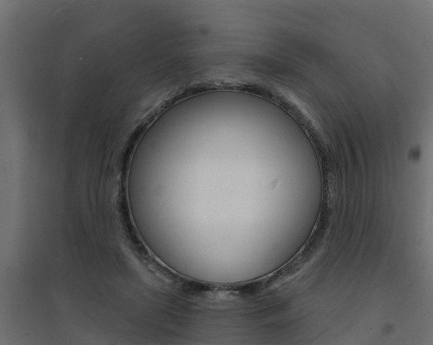 X0000094900451200711291027