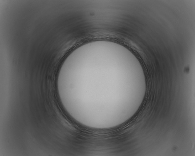 X0000094900452200711291027