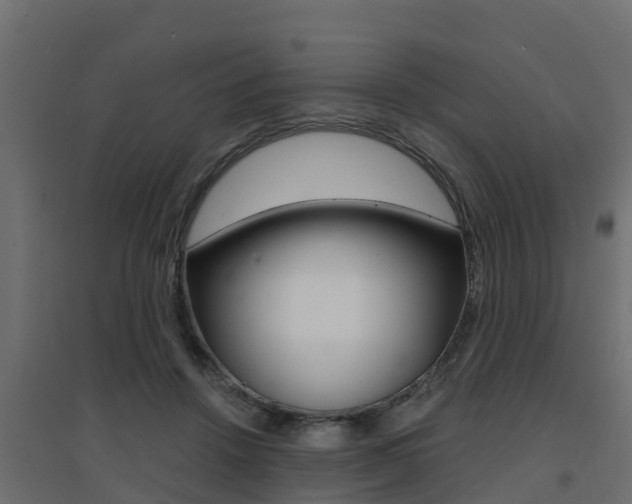 X0000094900456200711291027