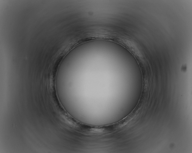 X0000094900457200711291027