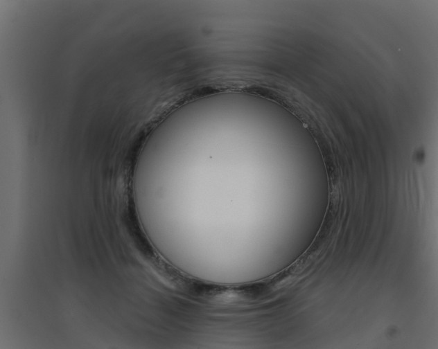 X0000094900460200711291027