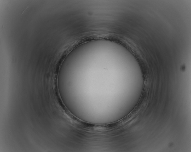 X0000094900462200711291027