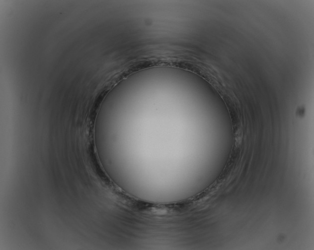 X0000094900464200711291027