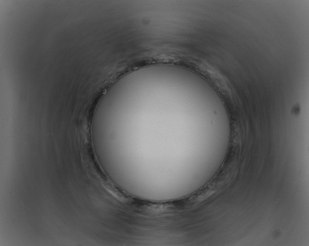 X0000094900465200711291027