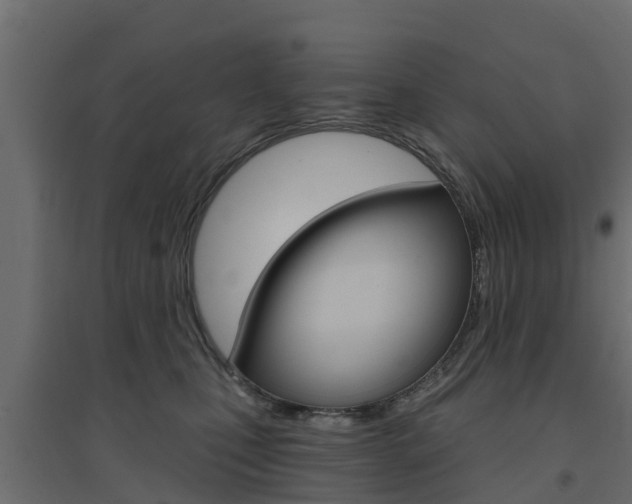 X0000094900471200711291027