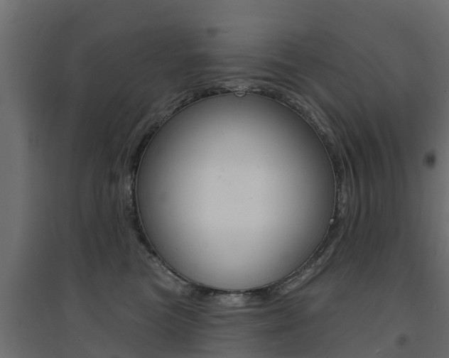 X0000094900473200711291027