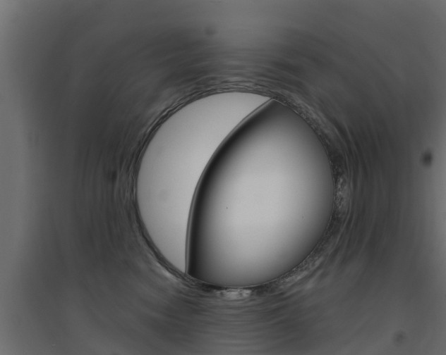 X0000094900474200711291027