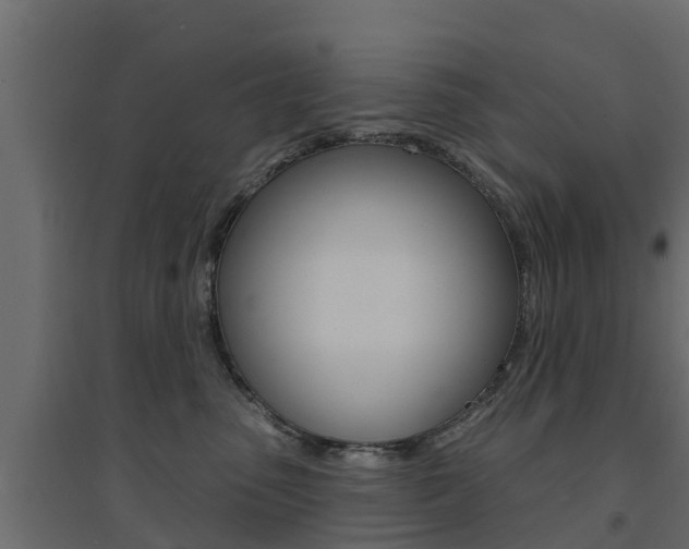 X0000094900475200711291027