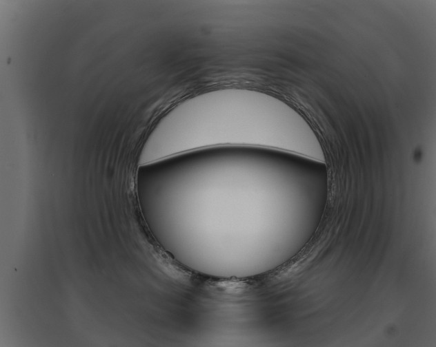 X0000094900478200711291027