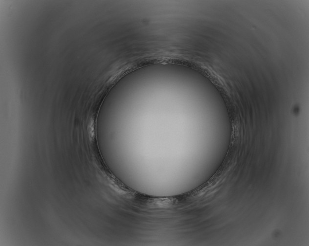 X0000094900479200711291027