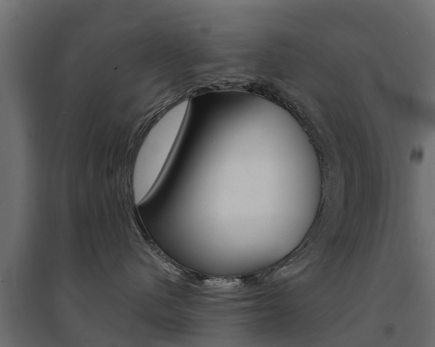 X0000094900480200711291027