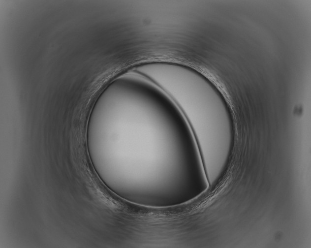 X0000094900481200711291026